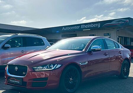 Jaguar XE Portfolio Aut. Leder 1. Hand Voll