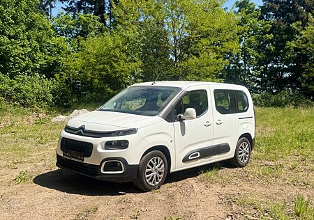 Citroën Berlingo BlueHDi 100 S&S LIVE M LIVE aus 1. Hand