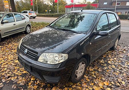 Fiat Punto gebraucht kaufen Fiat Punto 1.2 8V Active Klima