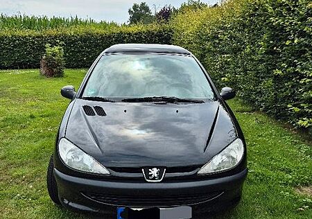 Peugeot 207 inkl. Panoramadach