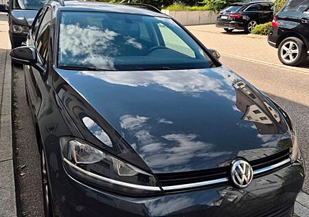 VW Golf Volkswagen 1.6 TDI SCR DSG Comfortline Variant Com...