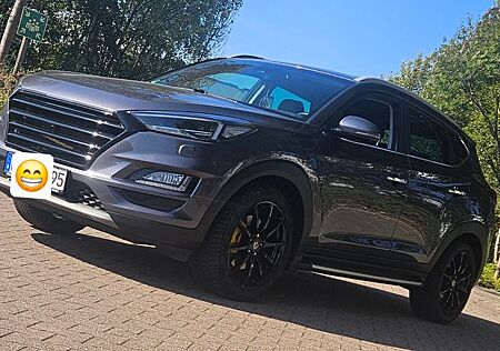 Hyundai Tucson 1.6 T-GDI Premium 2WD SCC AHK 360° Krell