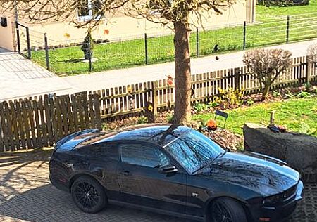Ford Mustang GT V8 / 320 PS