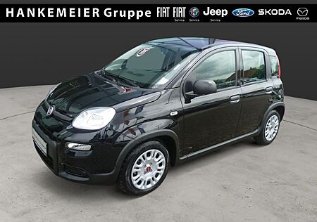 Fiat Panda MY24 1.0 70PS Mild-Hybrid, Klima, ZV, elek