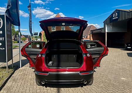 Mazda CX-3 CX-30 Edition 100