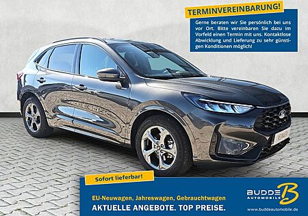 Ford Kuga gebraucht kaufen Ford Kuga 2.5 FHEV ST-Line Navi Kamera Key Free