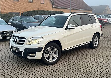 Mercedes-Benz GLK 250 CDI+4Matic+Motorschaden