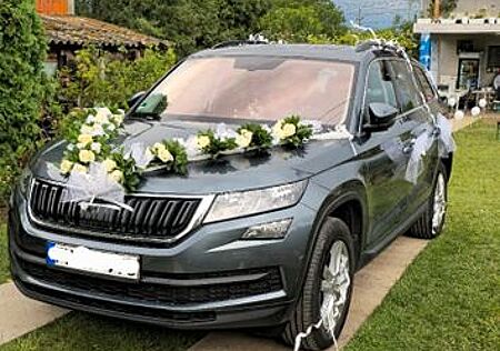 Skoda Kodiaq 2.0 TDI 7 sitze, Panoramadach