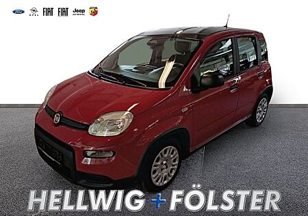 Fiat Panda Pandina City Paket DAB Spurhalteass. Verke
