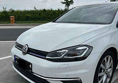 VW Golf Volkswagen 7 Highline BlueMotion
