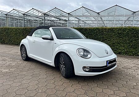 VW Beetle Volkswagen 1.2 TSI Cabrio, Teilleder, 19 Zoll, 8Fach