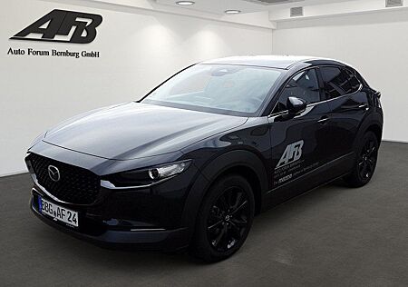 Mazda CX-30 2.0L e-SKYACTIV G 150ps Nagisa 2WD