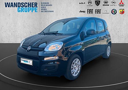 Fiat Panda MY25- Hybrid 1.0 GSE 51kw 70PS PDC