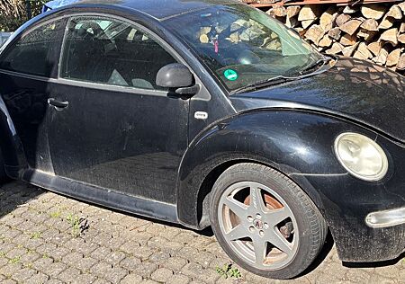 VW Beetle Volkswagen