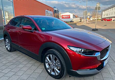 Mazda CX-30 2.0-NAVI-1.HAND-360° KAMERA-EURO 6-HEAD UP