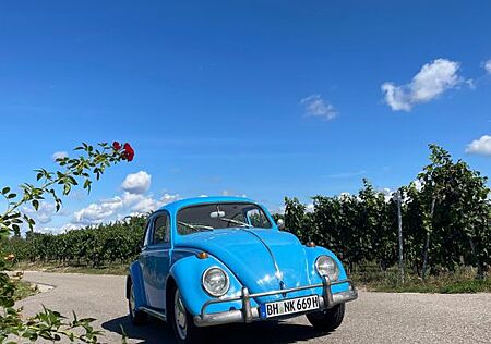VW Käfer Volkswagen 1200