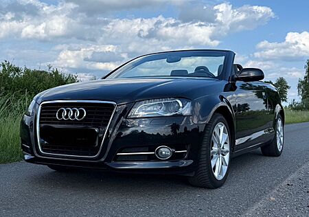 Audi Cabriolet A3 Cabrio 1,6 TDI Ambition PDC V/H Leder