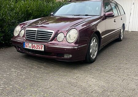 Mercedes-Benz 320 gebraucht kaufen Mercedes-Benz 320 W/S 210 CDI Avantgarde Designo
