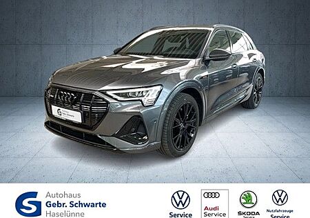 Audi e-tron 50 S line quattro AHK+ACC+LED+NAVI+SHZG