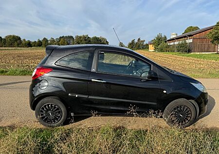 Ford Ka 1,2 Trend / sehr gepflegt / unfallfrei