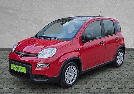 Fiat Panda Pandina Cross S&S #PDC #KLIMA