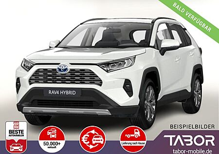 Toyota RAV 4 RAV4 2.5 Hybrid 222 4x4 Team D el.HK SHZ DigC
