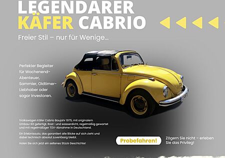 VW Käfer Volkswagen