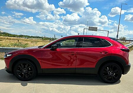 Mazda CX-30 e-SKYACTIV-G M-Hybrid 150 Homura