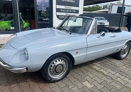 Alfa Romeo Spider 1600 Rundheck Anno 1966 Sofort Verfügbar