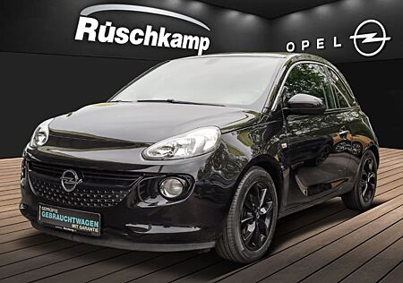 Opel Adam 120 Jahre 1.2 Klima PDC Winterpaket Apple C