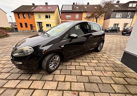 Fiat Punto EVO 1,2 / 69 PS