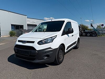 Ford Transit Connect Kasten
