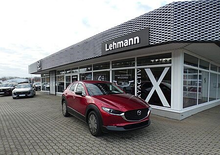 Mazda CX-30 2.5L e-SKYACTIV G 140ps 6AT FWD Homura TZ