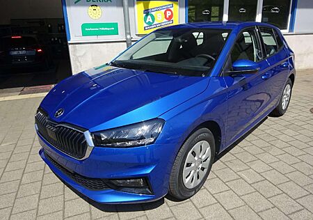 Skoda Fabia Selection 1,0TSI 70kw 95PS Autom.Klima Neb