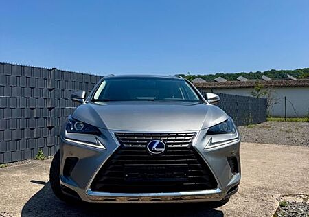 Lexus NX 300 300h E-FOUR -