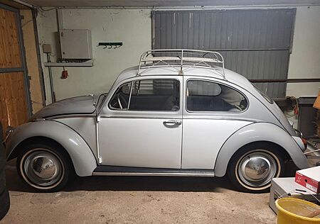 VW Käfer Volkswagen
