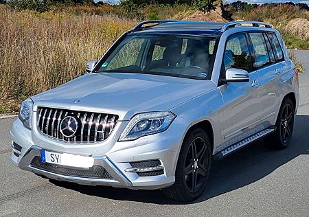 Mercedes-Benz GLK 220 CDI BlueEFFICIENCY -