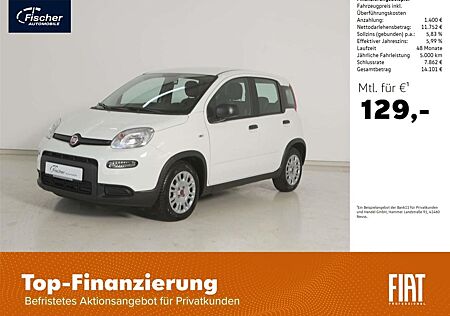 Fiat Panda 1.0 GSE
