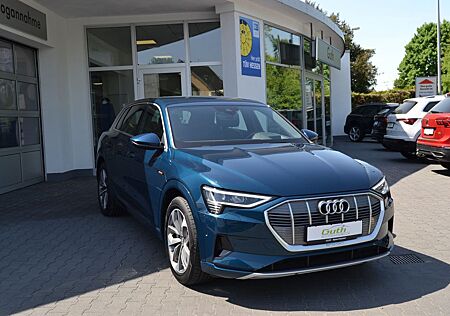 Audi e-tron 50 "S-Line" 313 PS 4x4 ab 5,99% Finz!