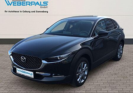 Mazda CX-30 Exclusive-Line 2WD-BOSE-NAVI-360 KAMERA