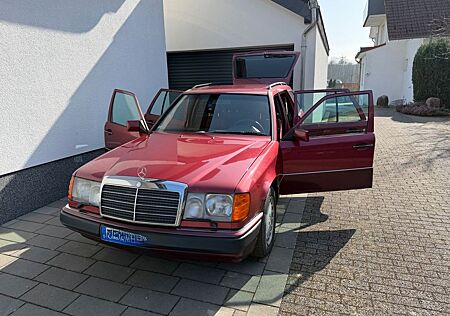 Mercedes-Benz 230 230TE mit seltener Farbkombi/9000€ investiert