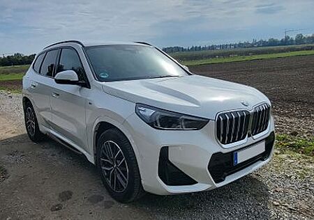 BMW X1 M-Sport sDrive20i AHK 360°Cam 18" HuD Adp-LED