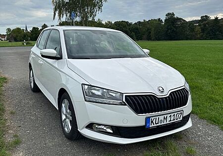Skoda Fabia 1.0l TSI 70kW AMBITION 8fach bereift