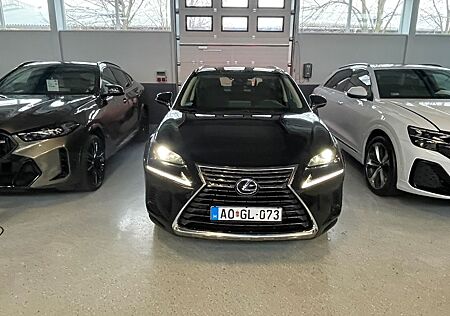 Lexus NX 300 300h Style Edition