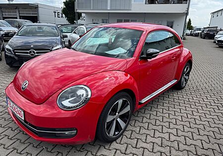 VW Beetle Volkswagen Lim. Sport Navi-Leder-Xenon