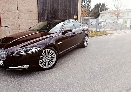 Jaguar XF 3.0 L V6 Diesel -