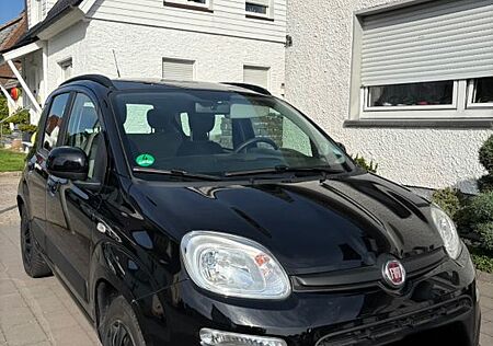 Fiat Panda 1.2