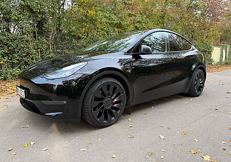 Tesla Model Y Performance