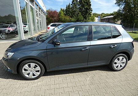 Skoda Fabia gebraucht kaufen Skoda Fabia Ambition*SHZ*KLIMA*SD*5-TÜRIG*90PS*