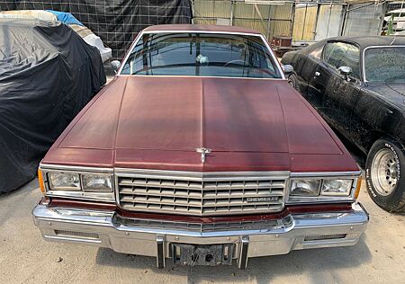 Chevrolet Caprice Classic 1981 | 5.0 L -V8 | H-Kennzeichen